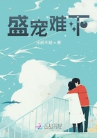 盛宠难下在线阅读