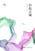 白色之城在线阅读