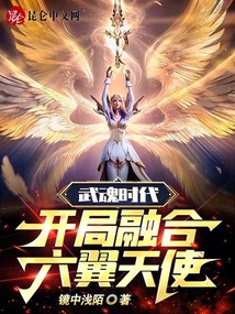 武魂时代:开局融合六翼天使