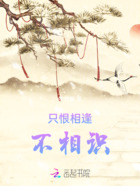 只恨相逢不相識在線閱讀