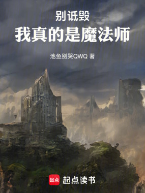 别诋毁,我真的是魔法师在线阅读