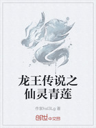 龍王傳說之仙靈青蓮在線閱讀