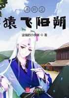 木葉之猿飛陽朔在線閱讀