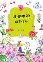 唯美手绘四季花卉