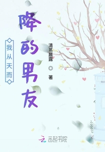 我從天而降的男友