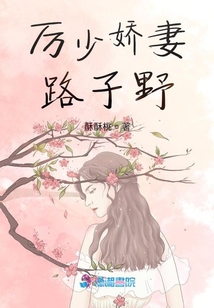 厲少嬌妻路子野