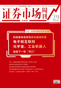 對話：寶盈基金基金經理張仲維（《證券市場紅周刊》2022年29期）