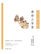 唐诗三百首（全2册）