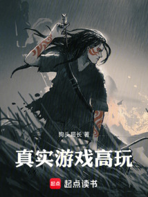 真實(shí)游戲高玩