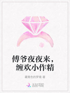 傅爺夜夜來，纏歡小作精在線閱讀