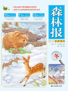森林报:冬(彩色插图版)在线阅读