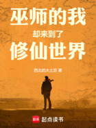 巫师的我却来到了修仙世界在线阅读