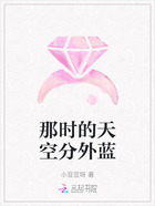 那时的天空分外蓝在线阅读