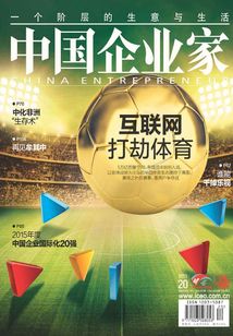 中國企業(yè)家（2015年第20期）