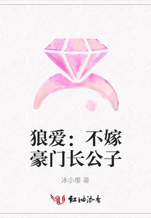 狼愛:不嫁豪門長公子