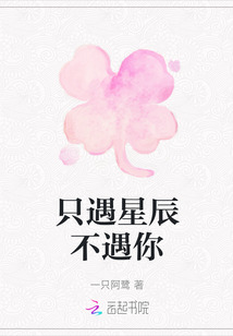 只遇星辰不遇你