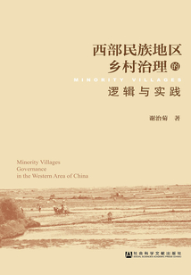 西部民族地區鄉村治理的邏輯與實踐