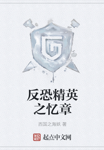 反恐精英之憶章