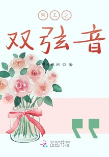 網王之雙弦音