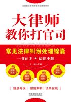 大律师教你打官司：常见法律纠纷处理锦囊在线阅读