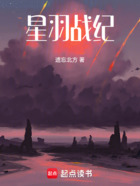 星羽战纪