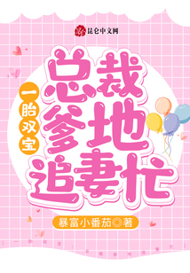 一胎雙寶：總裁爹地追妻忙