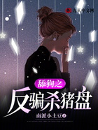 舔狗之反騙殺豬盤在線閱讀