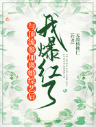 與頂流參加離婚綜藝后，我爆紅了在線閱讀