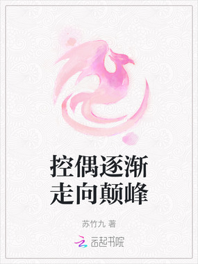 控偶逐渐走向颠峰在线阅读