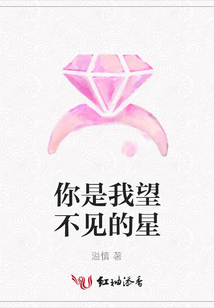你是我望不見的星