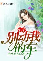 小子，別動我的車在線閱讀
