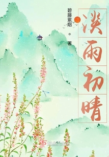 淡雨初晴