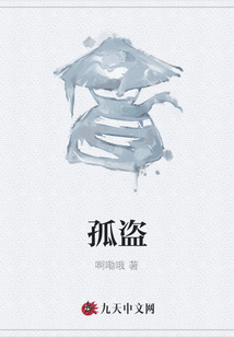 孤盗