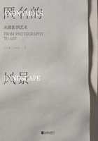 匿名的风景:从摄影到艺术在线阅读