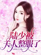 陆少被夫人整服了在线阅读