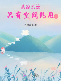 我家系統只有空間能用