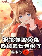 暑假兼职回来,我被美女包围了