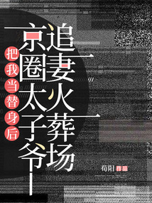 把我當(dāng)替身后，京圈太子爺追妻火葬場(chǎng)