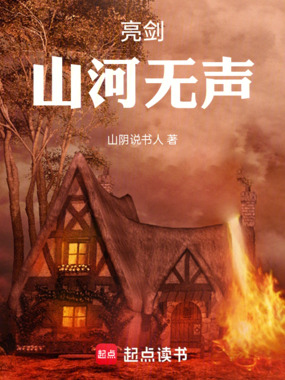 亮剑:山河无声在线阅读