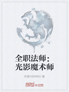 全职法师:光影魔术师在线阅读