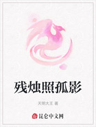 残烛照孤影在线阅读