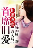相思成癮，首席舊愛請入局在線閱讀