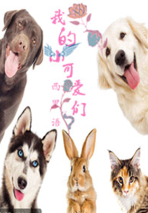 我的小可愛們