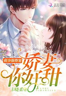 夜少家的小胖甜