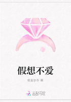 假想不爱