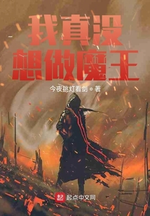 我真沒想做魔王