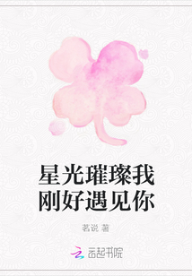 星光璀璨我剛好遇見(jiàn)你