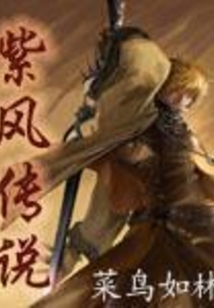 網游之紫風傳說