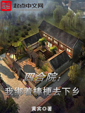 四合院:我绑着棒梗去下乡在线阅读