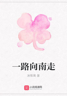 一路向南走